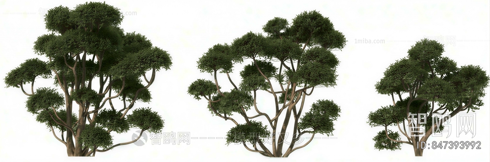 Modern Tree