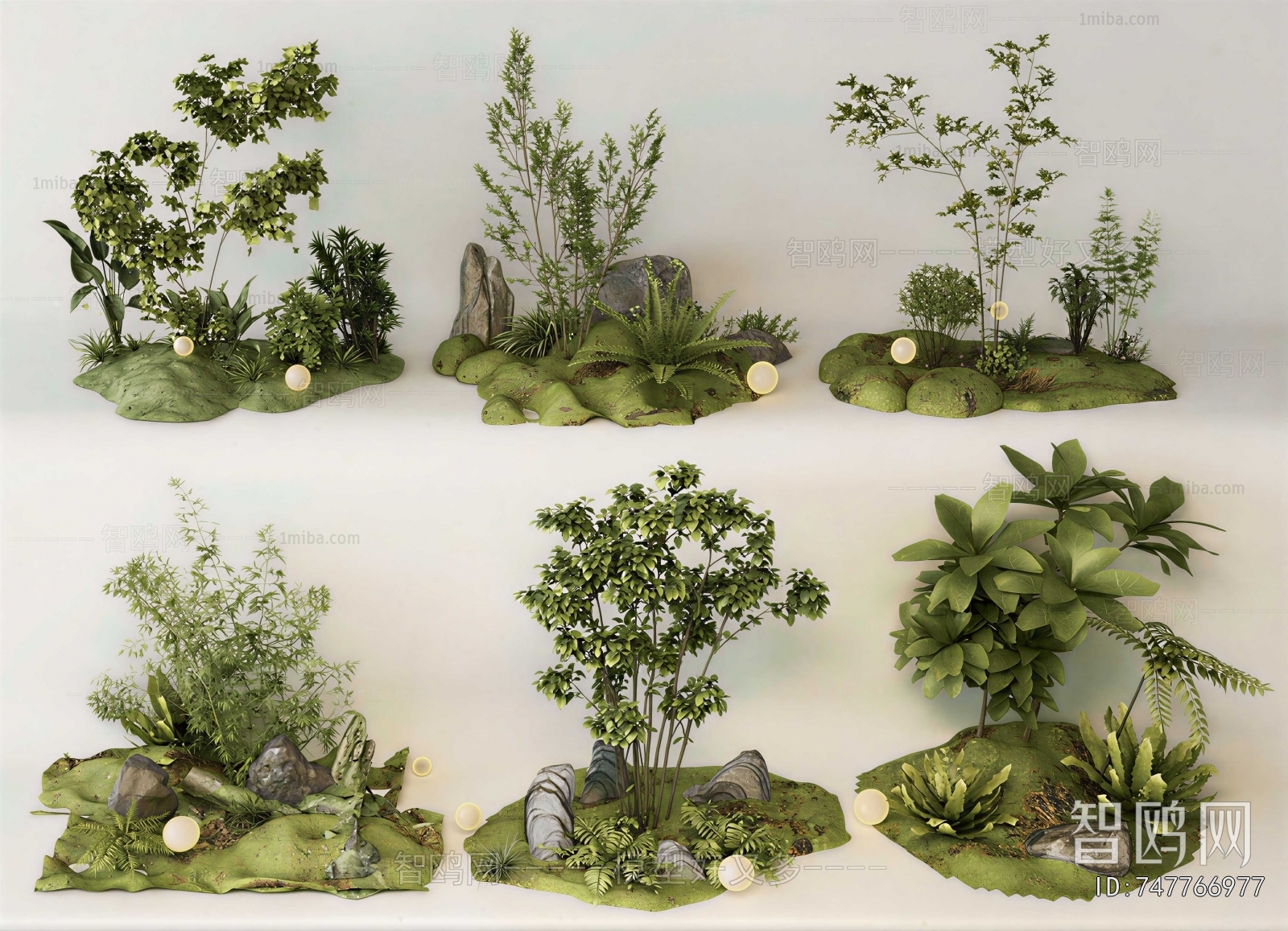 Modern Plant Landscaping