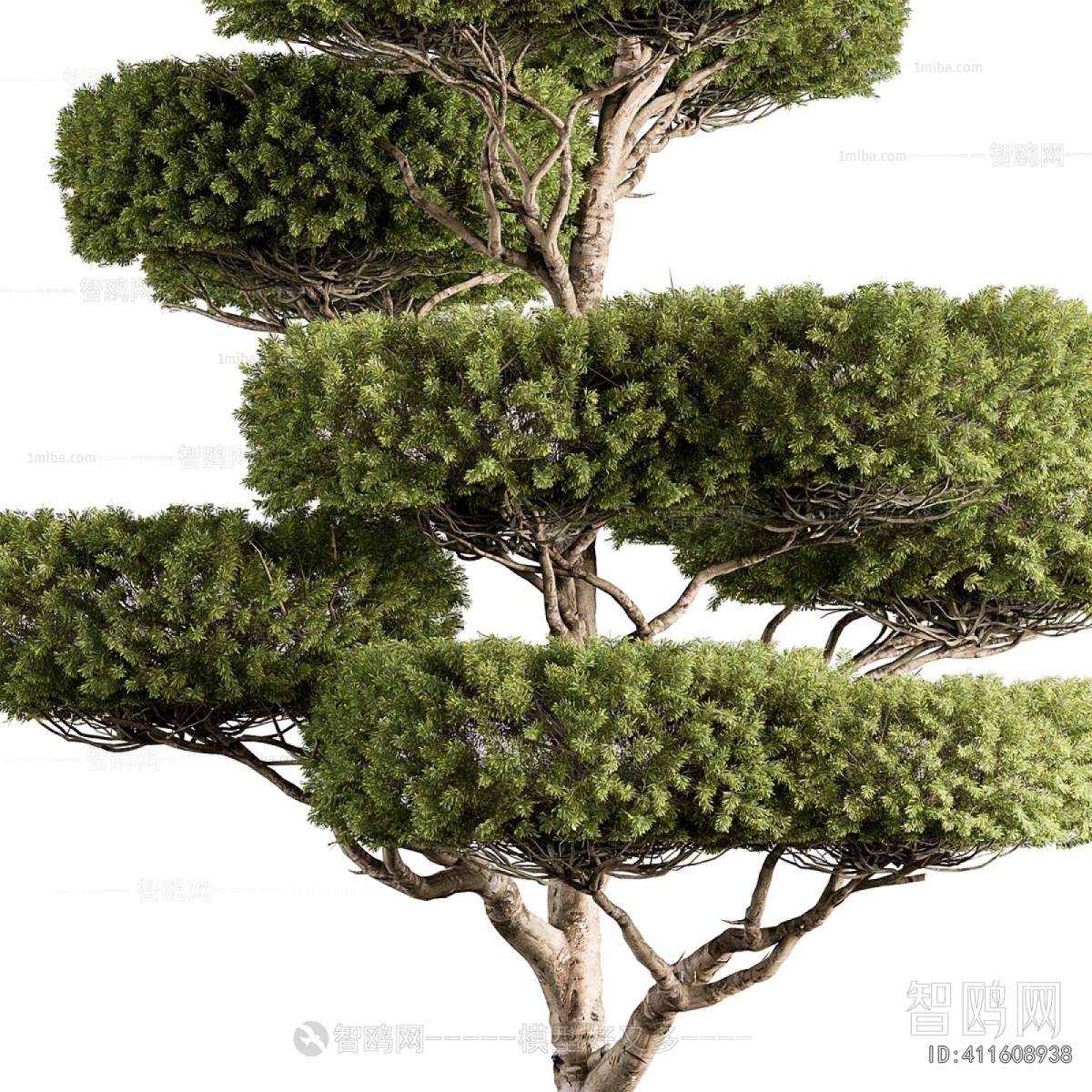 Modern Tree