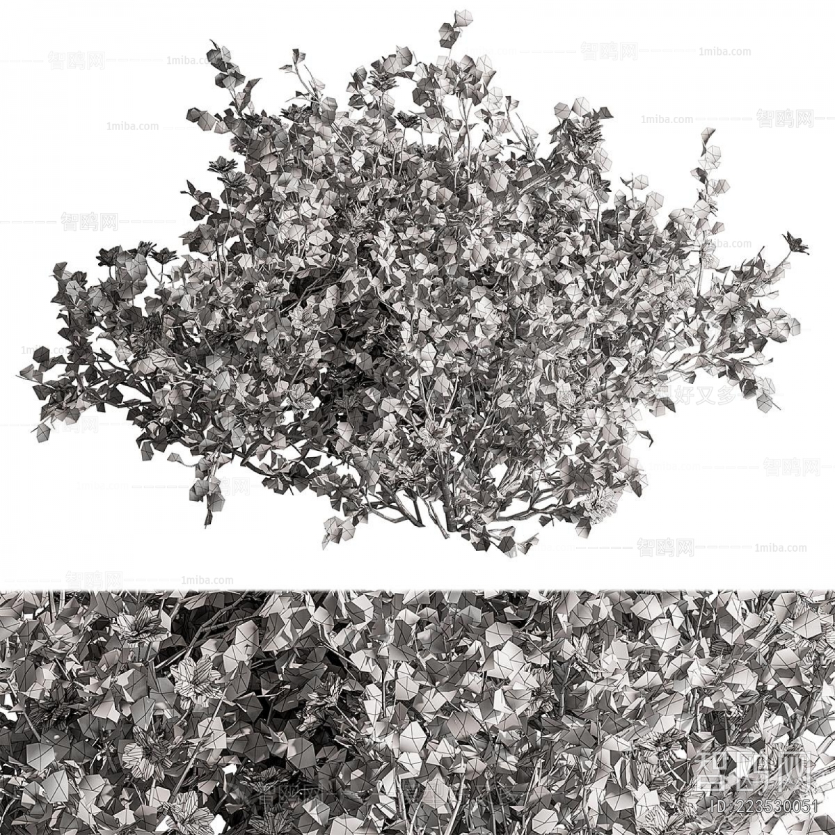 Modern Shrubbery