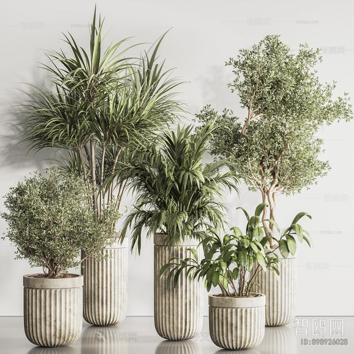 Modern Ground Green Plant Potted Plants