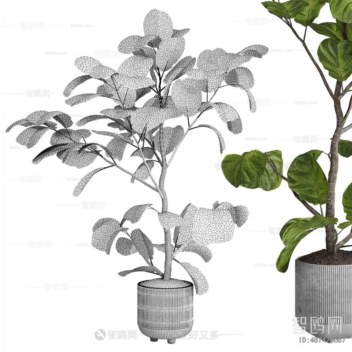 Modern Ground Green Plant Potted Plants
