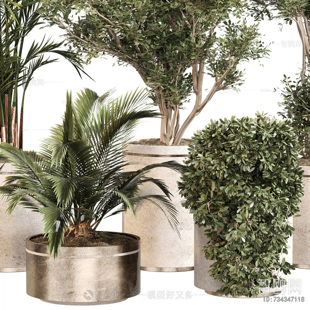 Modern Ground Green Plant Potted Plants