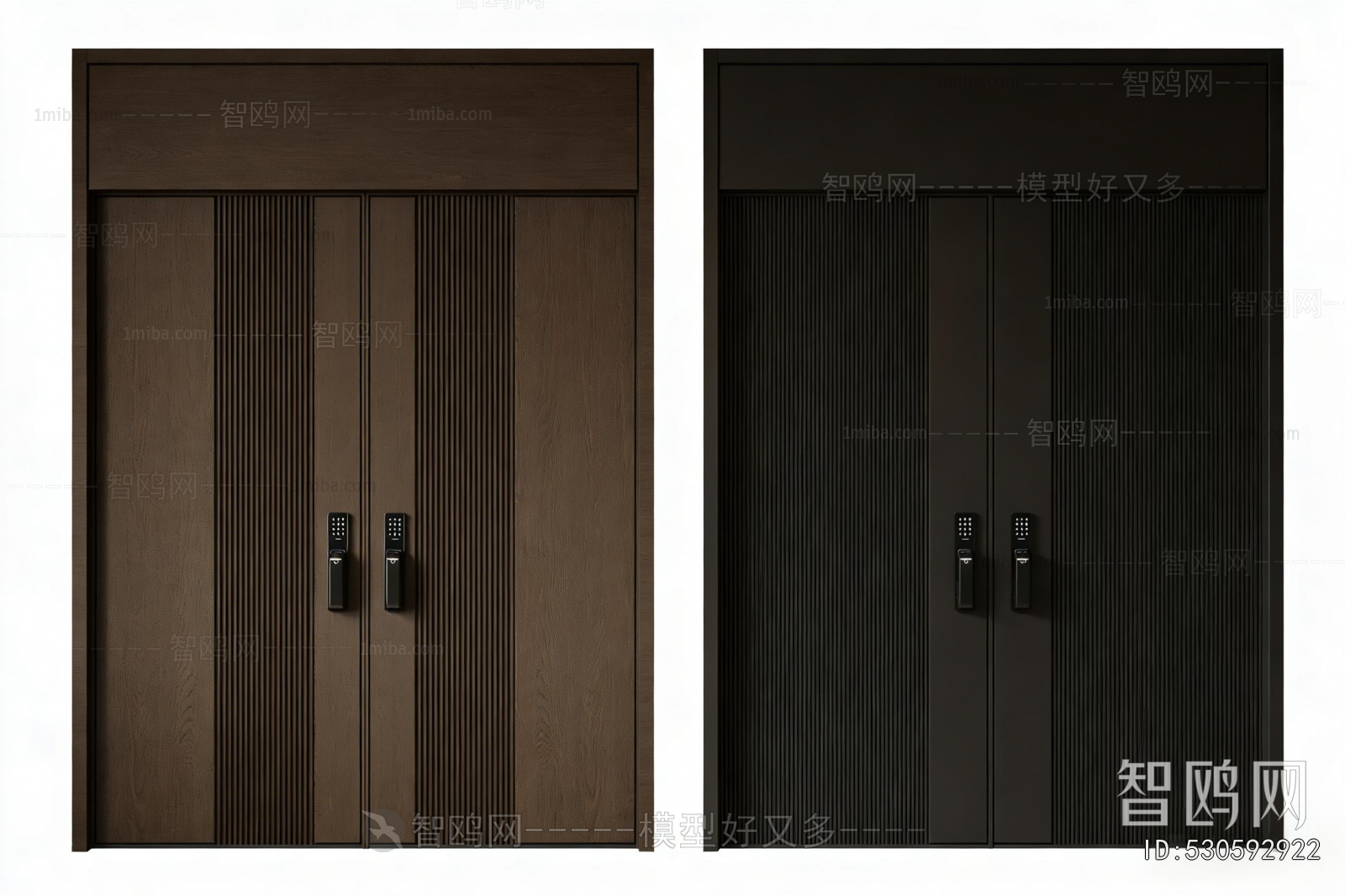 Modern Entrance Door