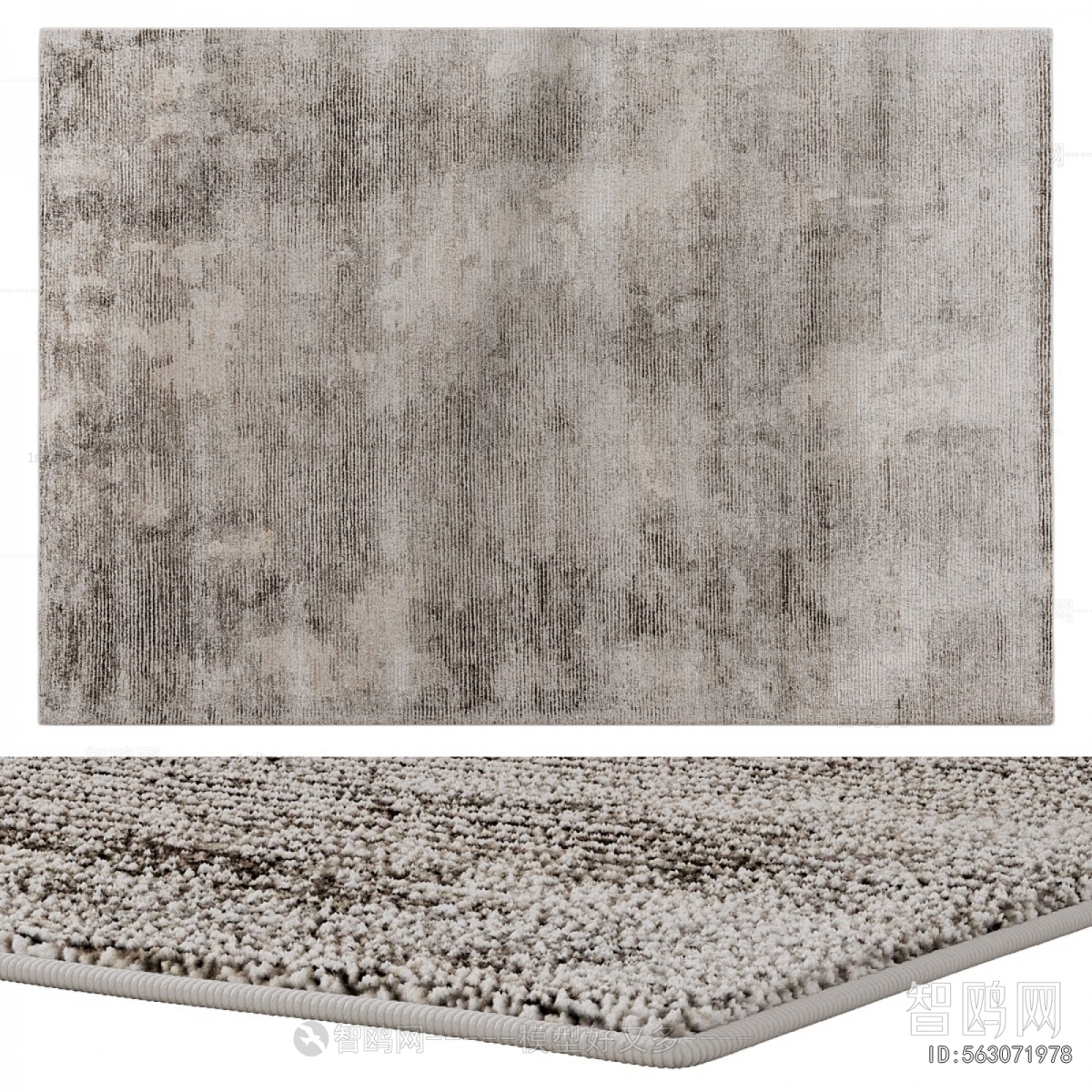 Modern The Carpet