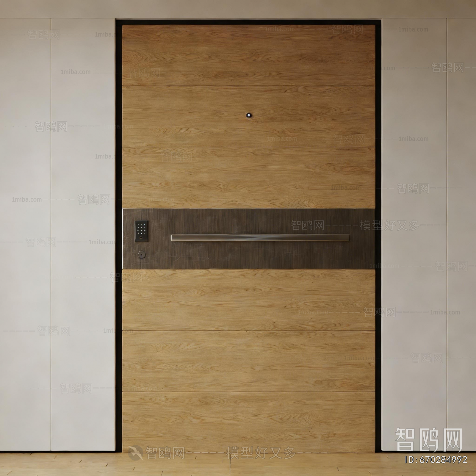 Modern Entrance Door