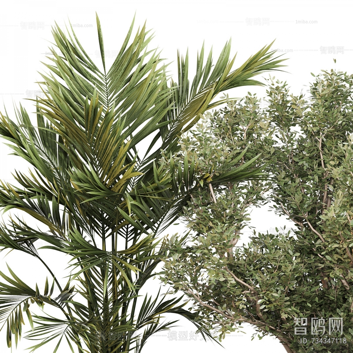 Modern Ground Green Plant Potted Plants