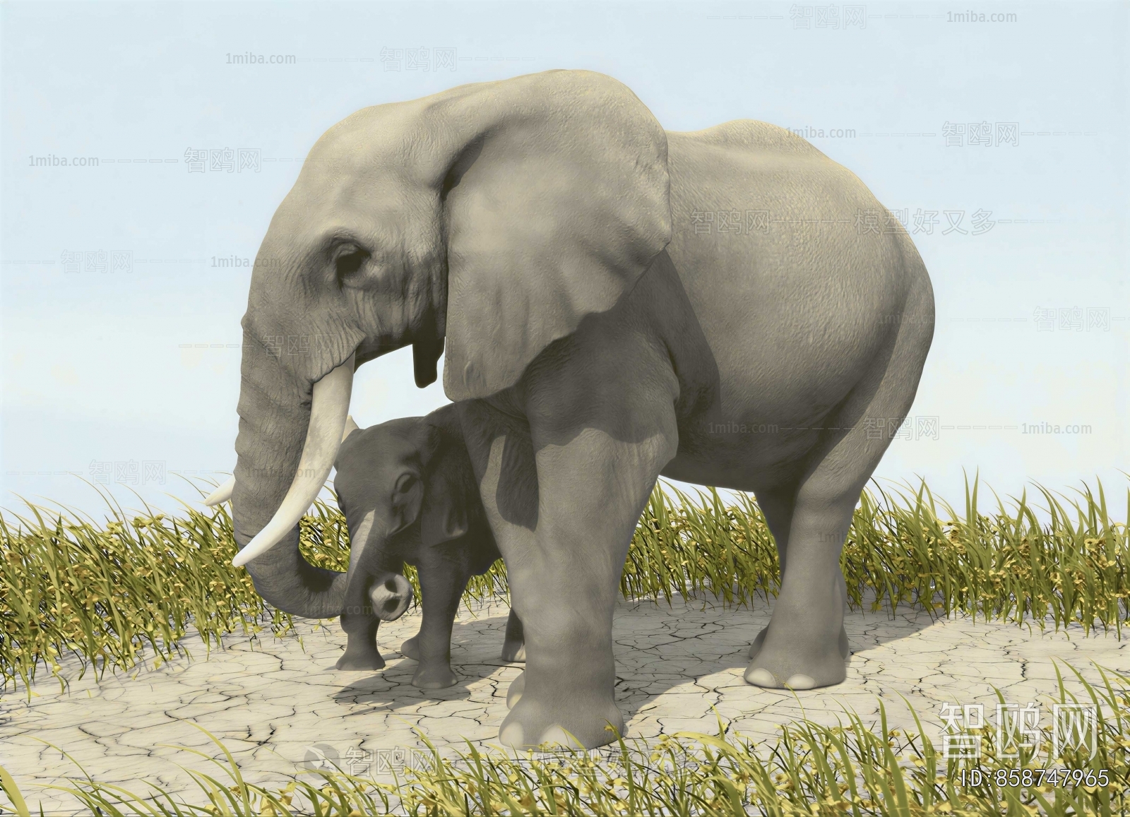Modern Mammal