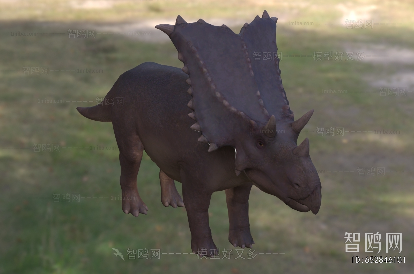Modern Other Animals
