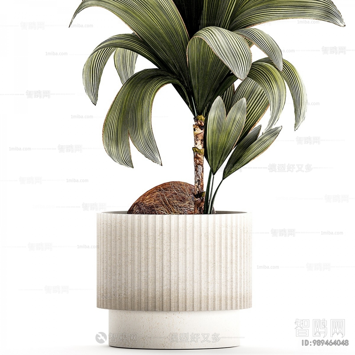 Modern Ground Green Plant Potted Plants