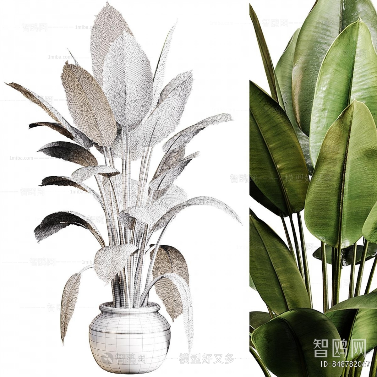 Modern Ground Green Plant Potted Plants