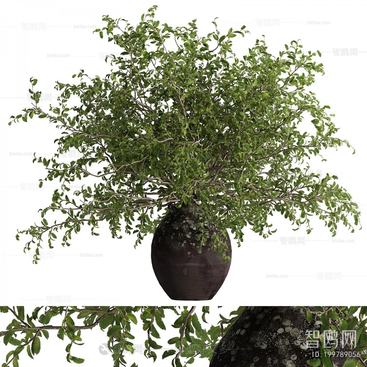 Modern Potted Green Plant