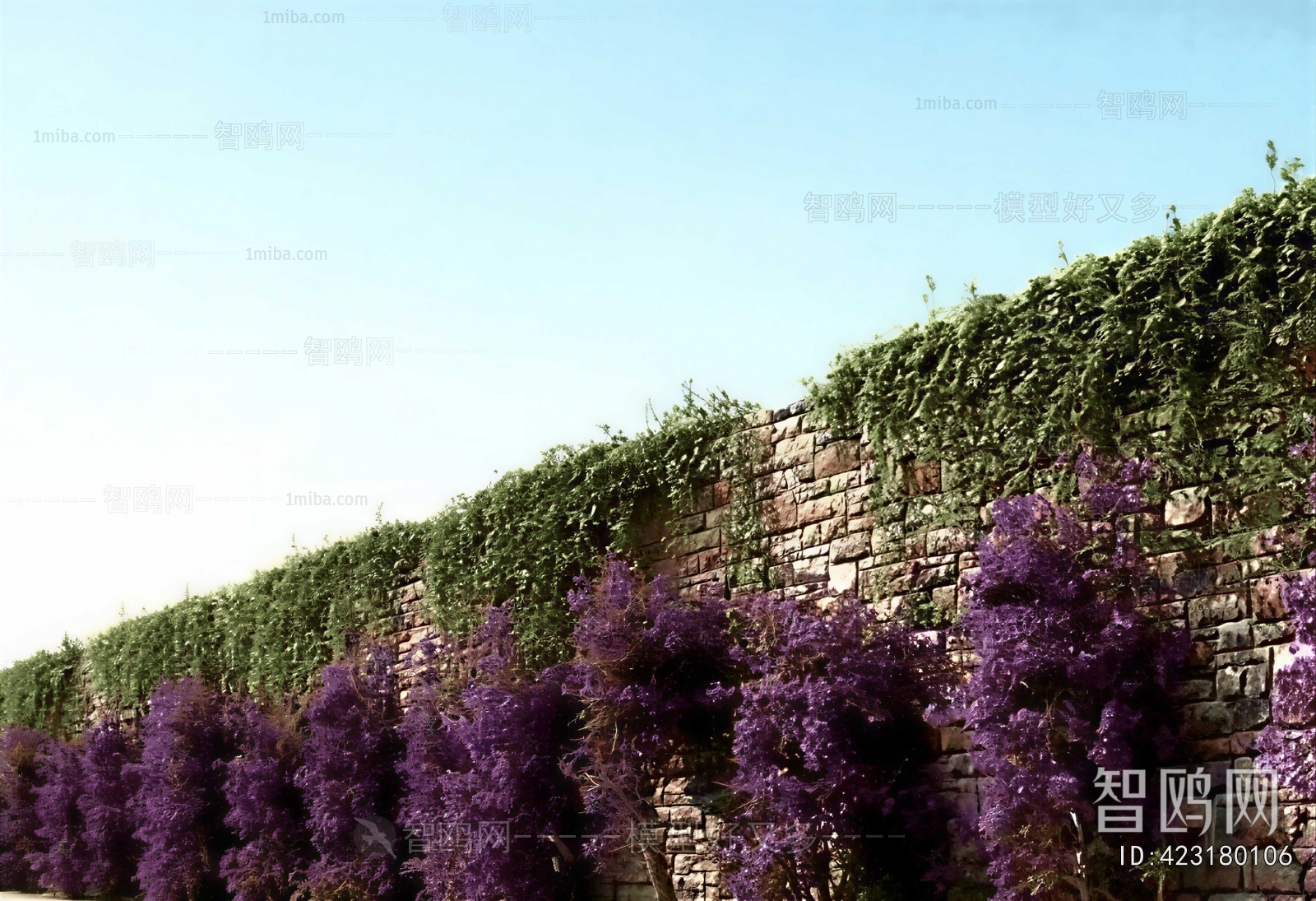 Modern Vine