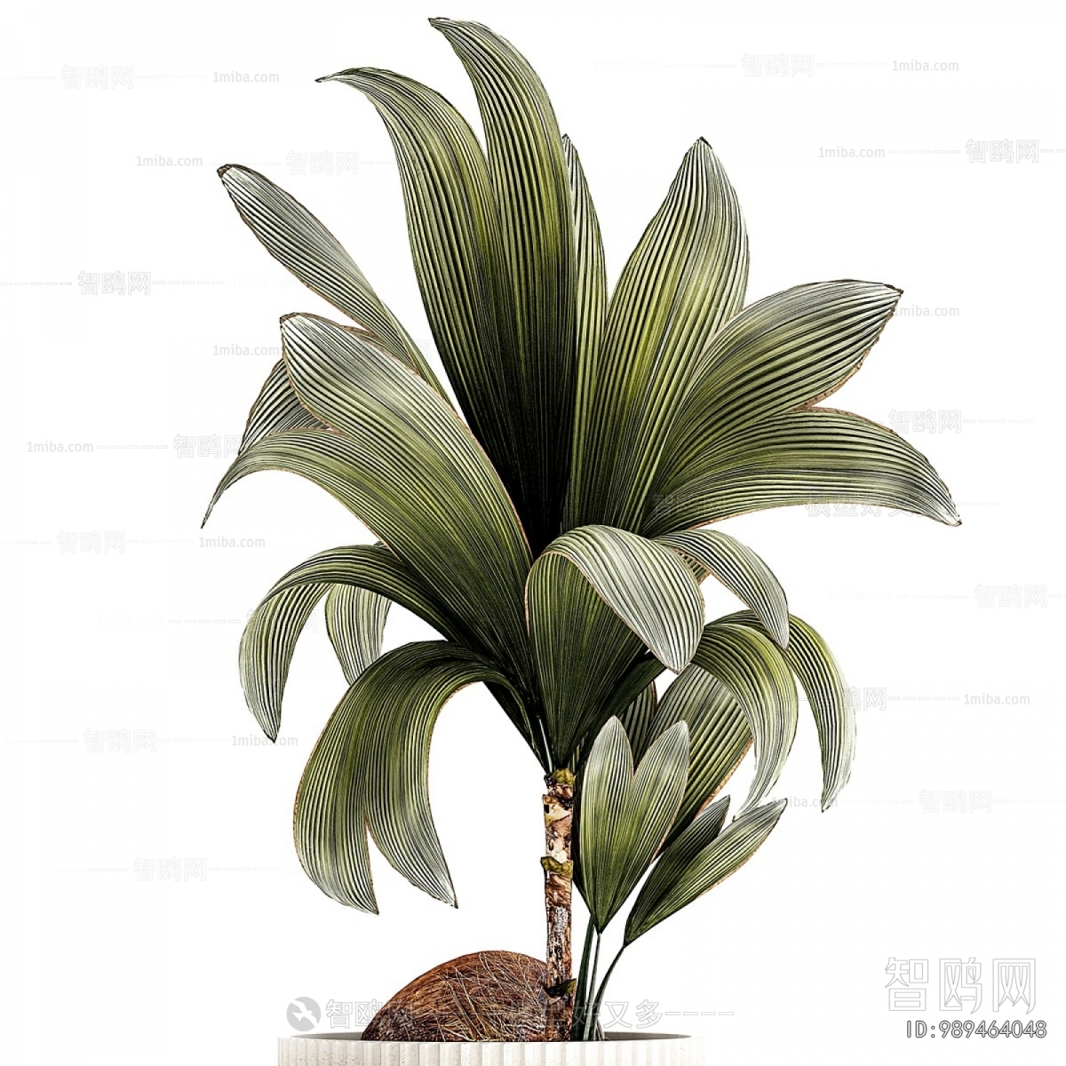 Modern Ground Green Plant Potted Plants