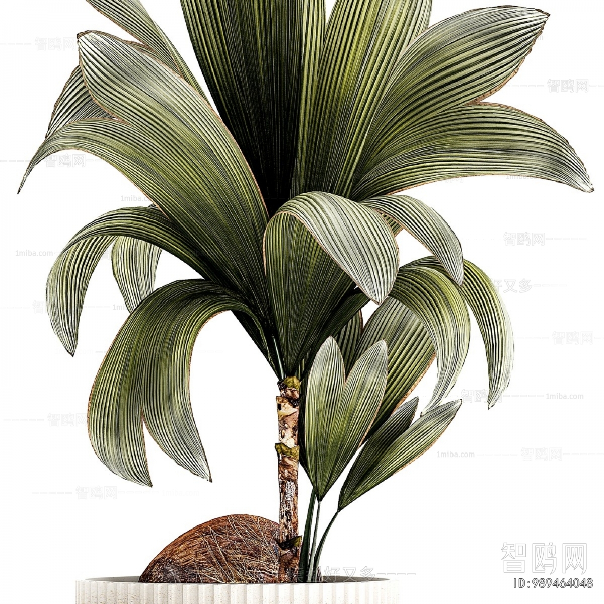 Modern Ground Green Plant Potted Plants