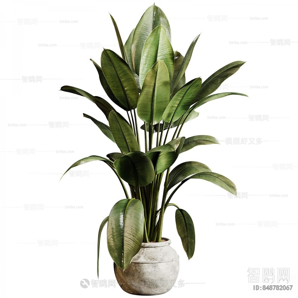 Modern Ground Green Plant Potted Plants
