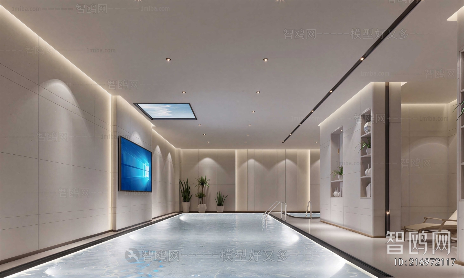 Modern Swimming Pool