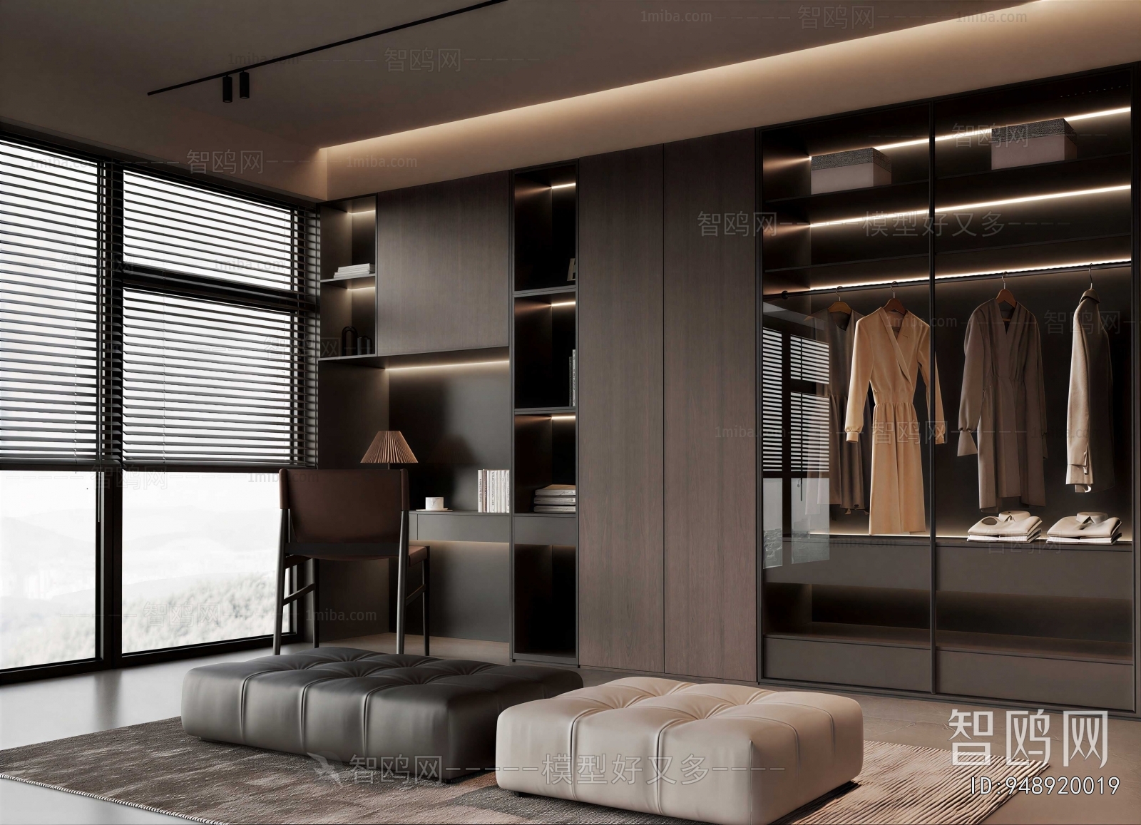 Modern Clothes Storage Area