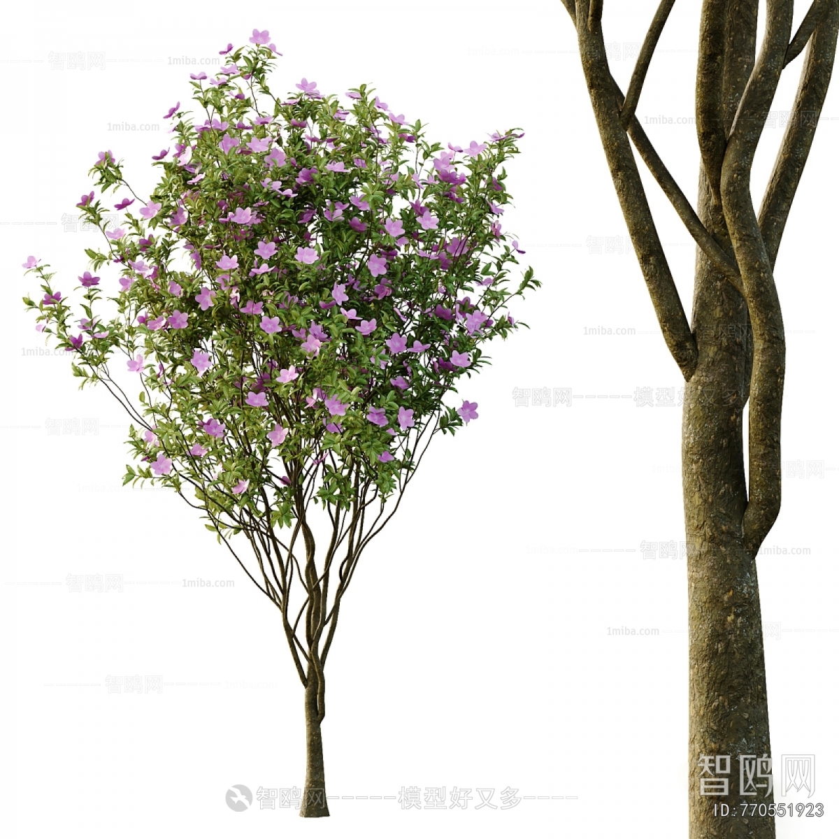 Modern Tree