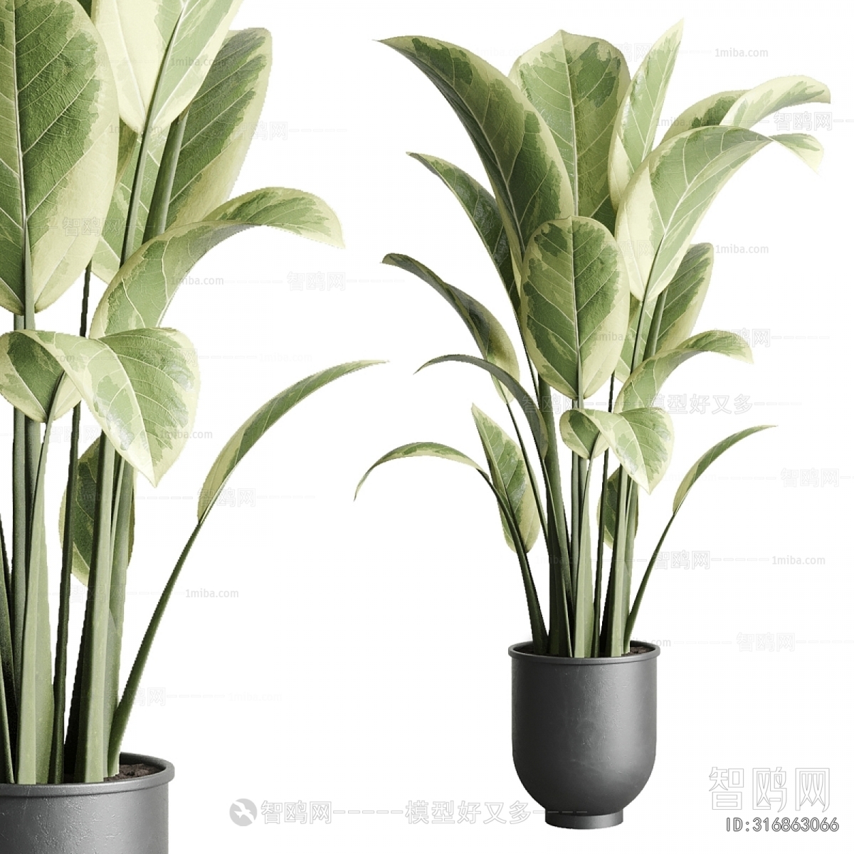 Modern Ground Green Plant Potted Plants