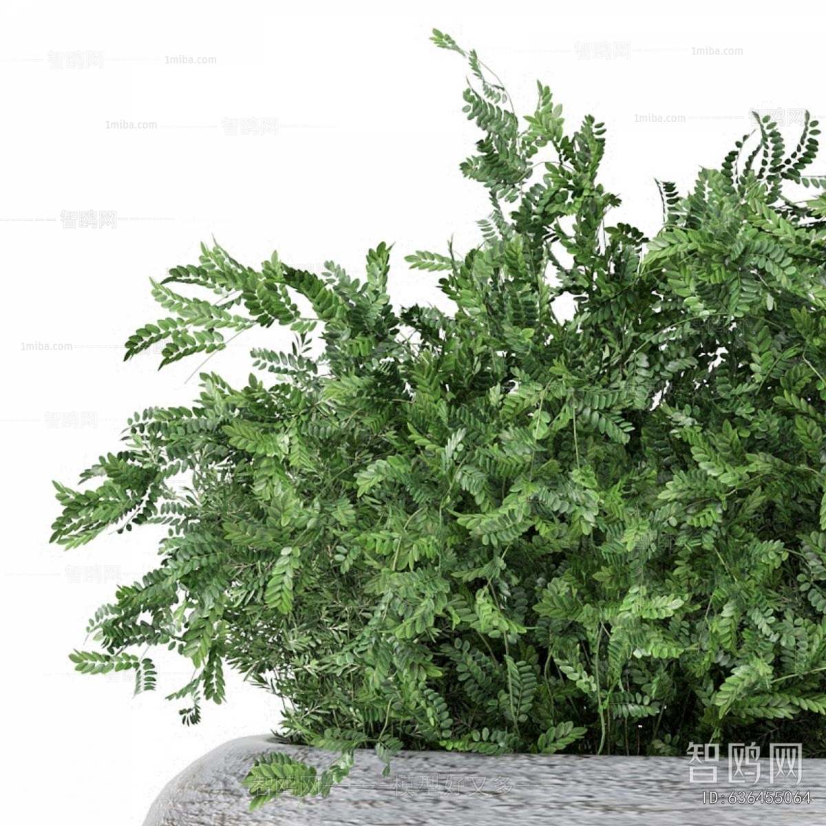 Modern Flower Bed, Flower Bowl, Flower Box