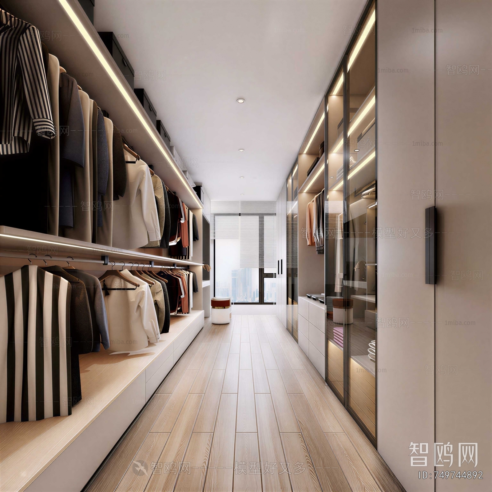Modern Clothes Storage Area