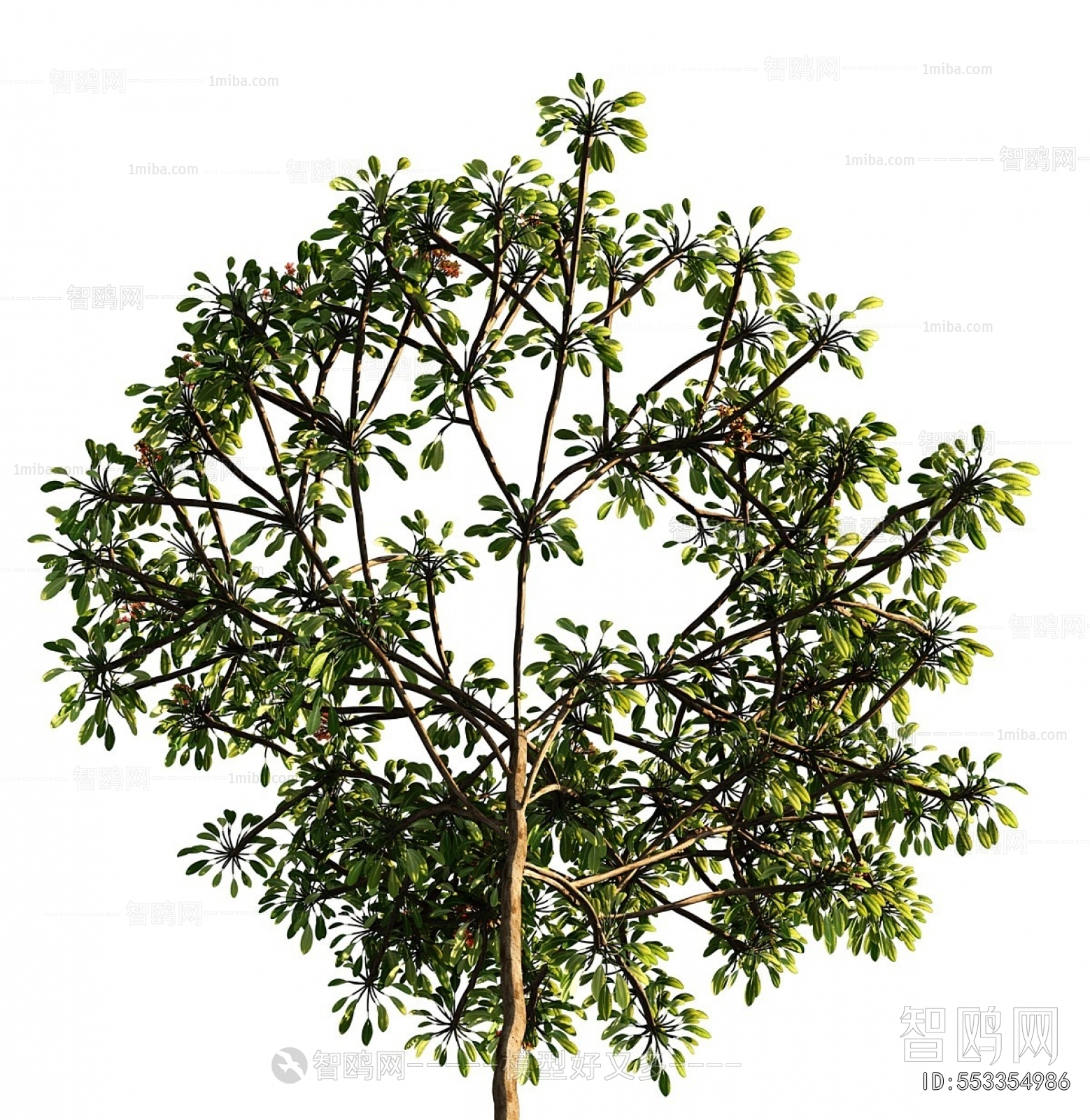 Modern Tree