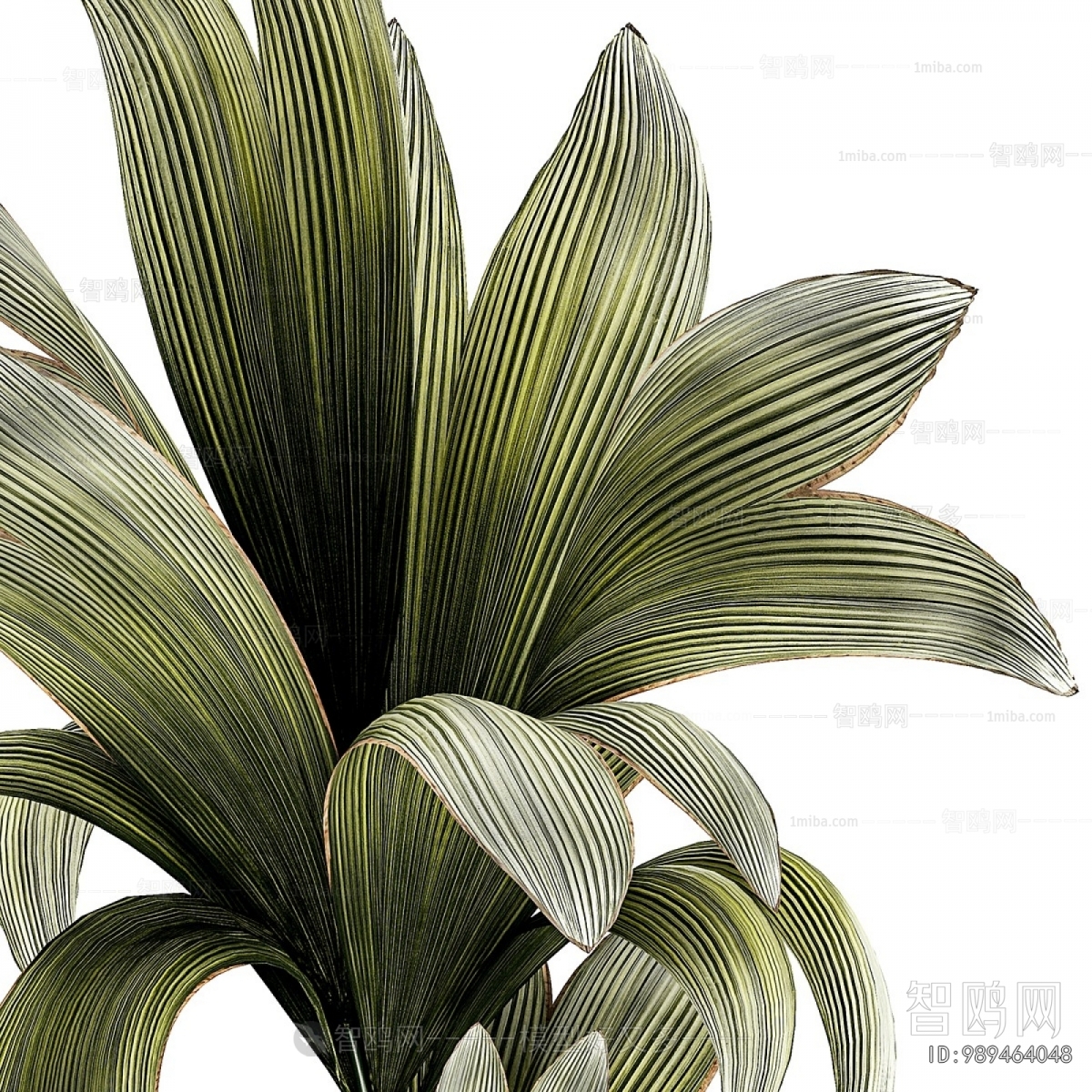 Modern Ground Green Plant Potted Plants