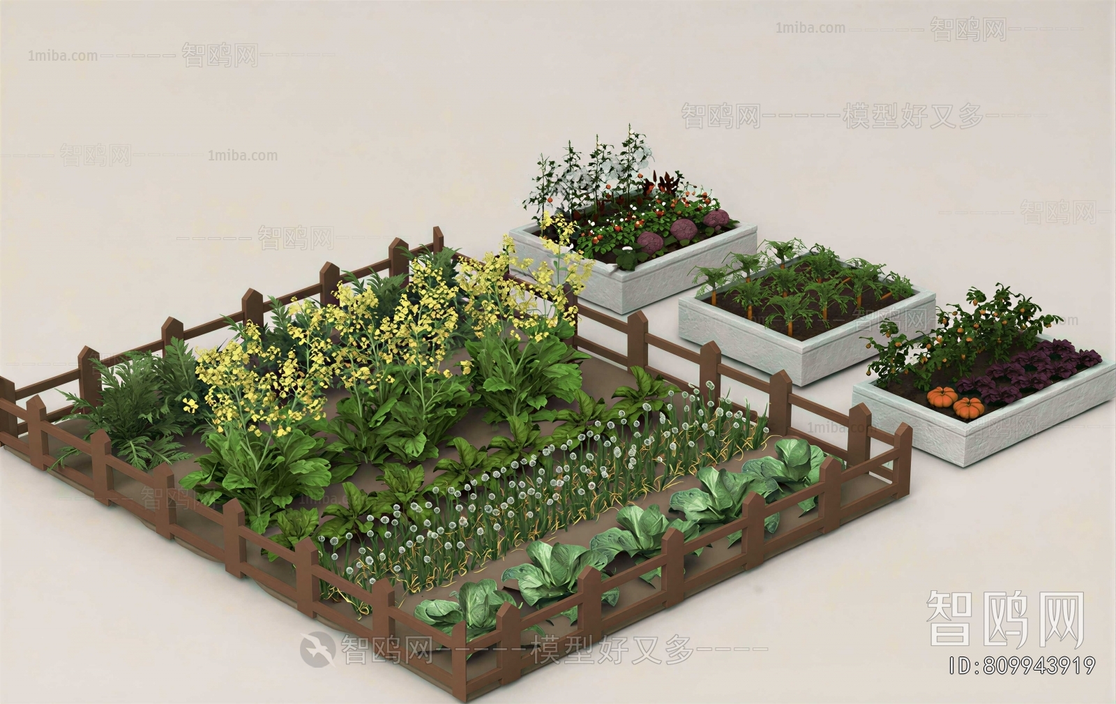 Modern Crop