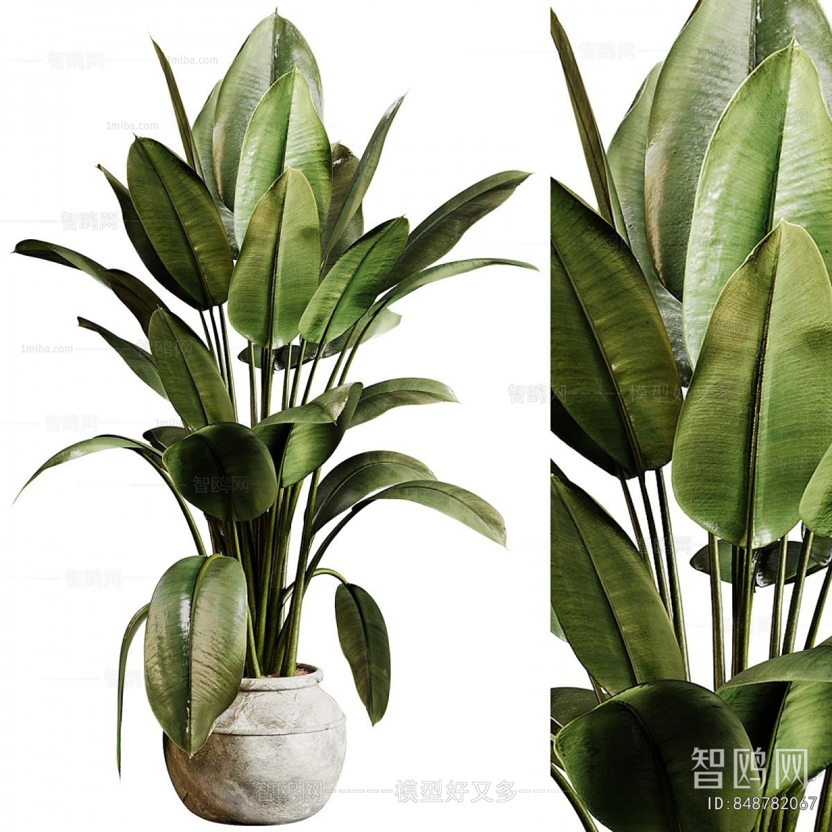 Modern Ground Green Plant Potted Plants