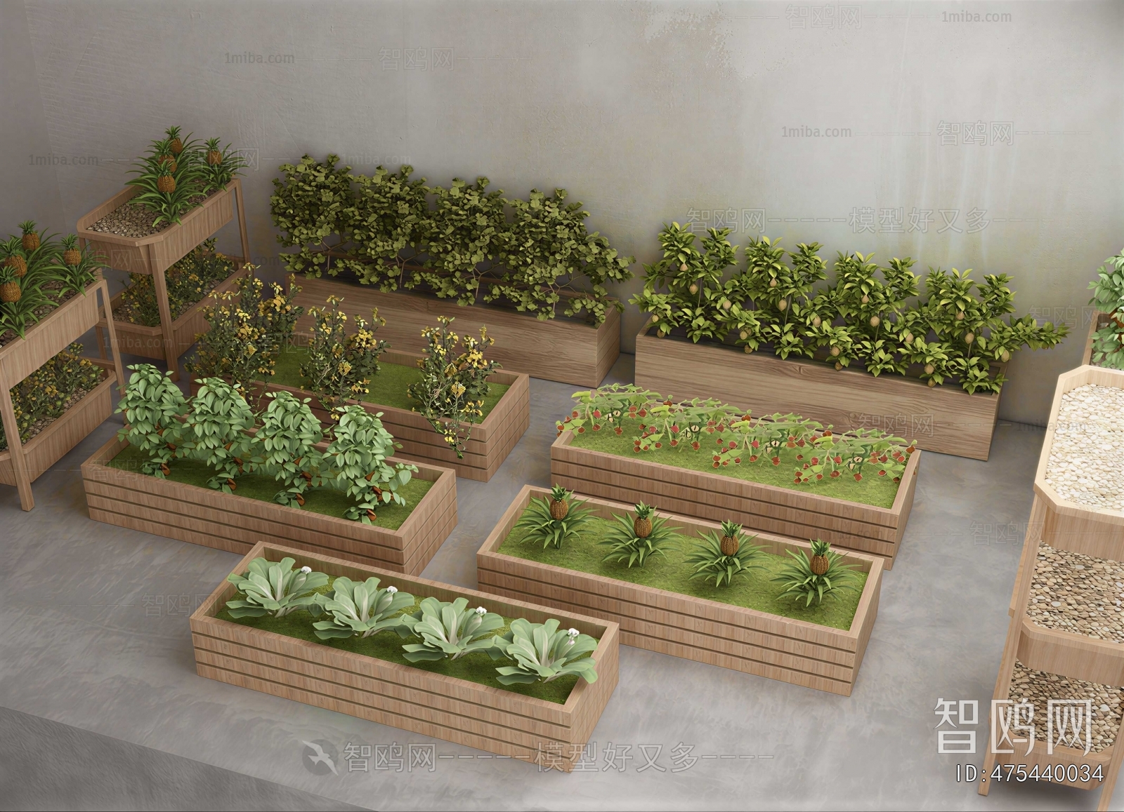 Modern Crop