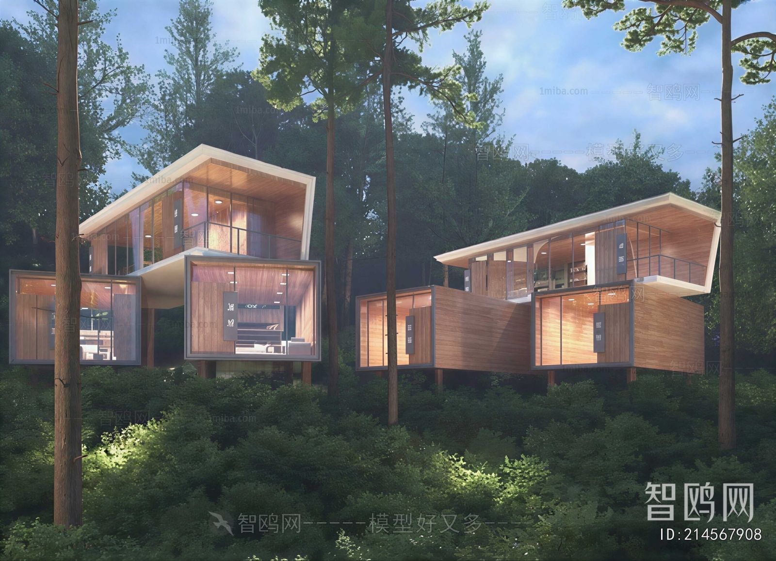 Modern Villa Appearance