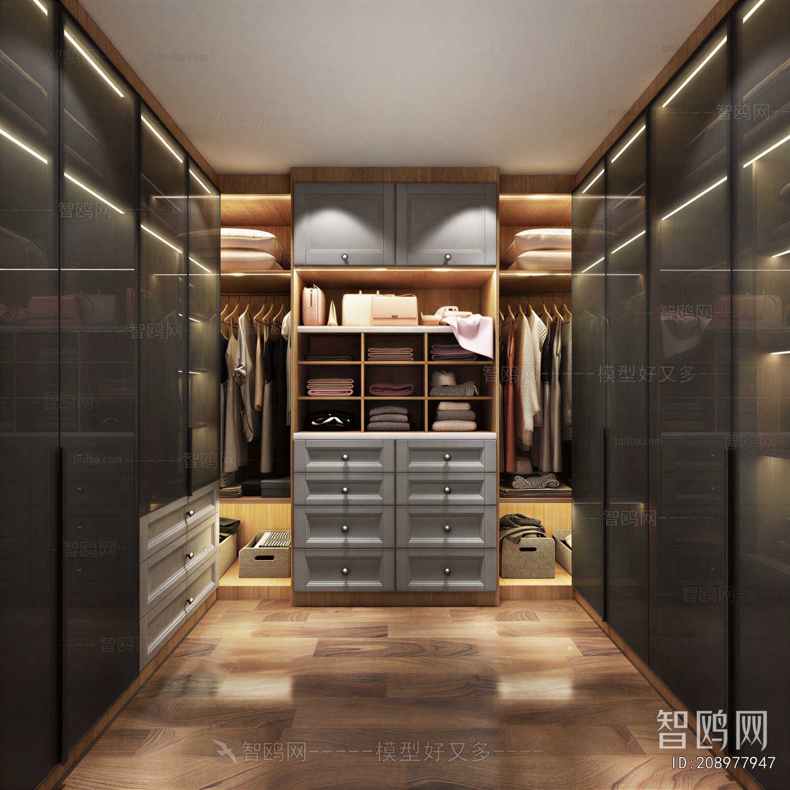Modern Clothes Storage Area