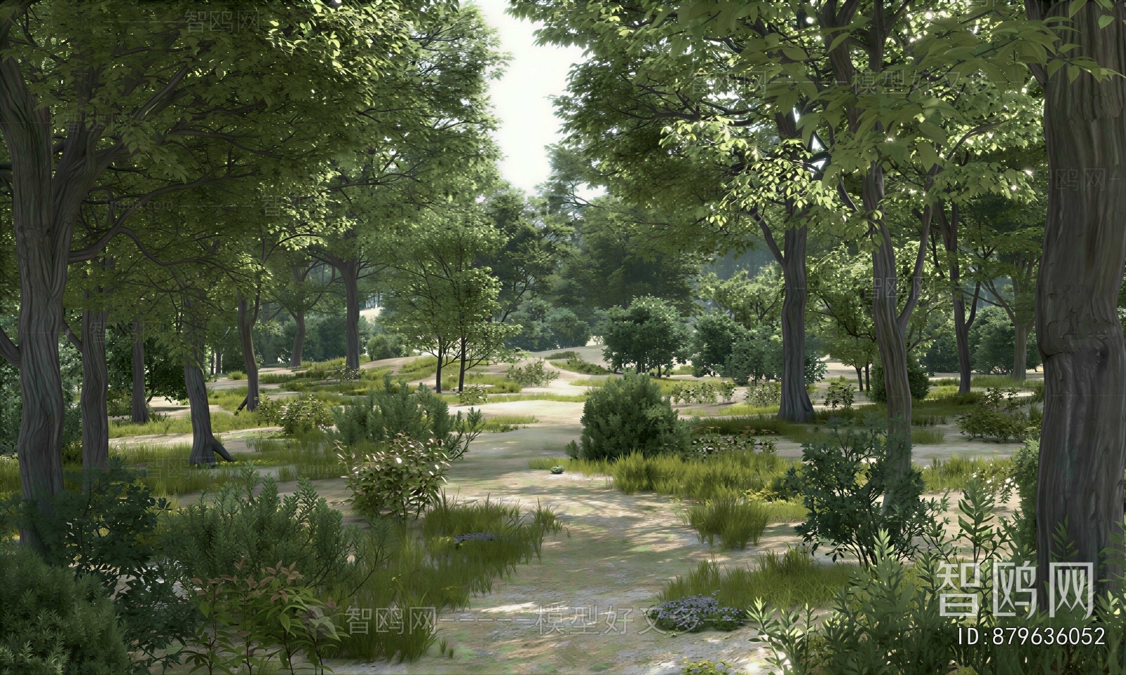Modern Landscape