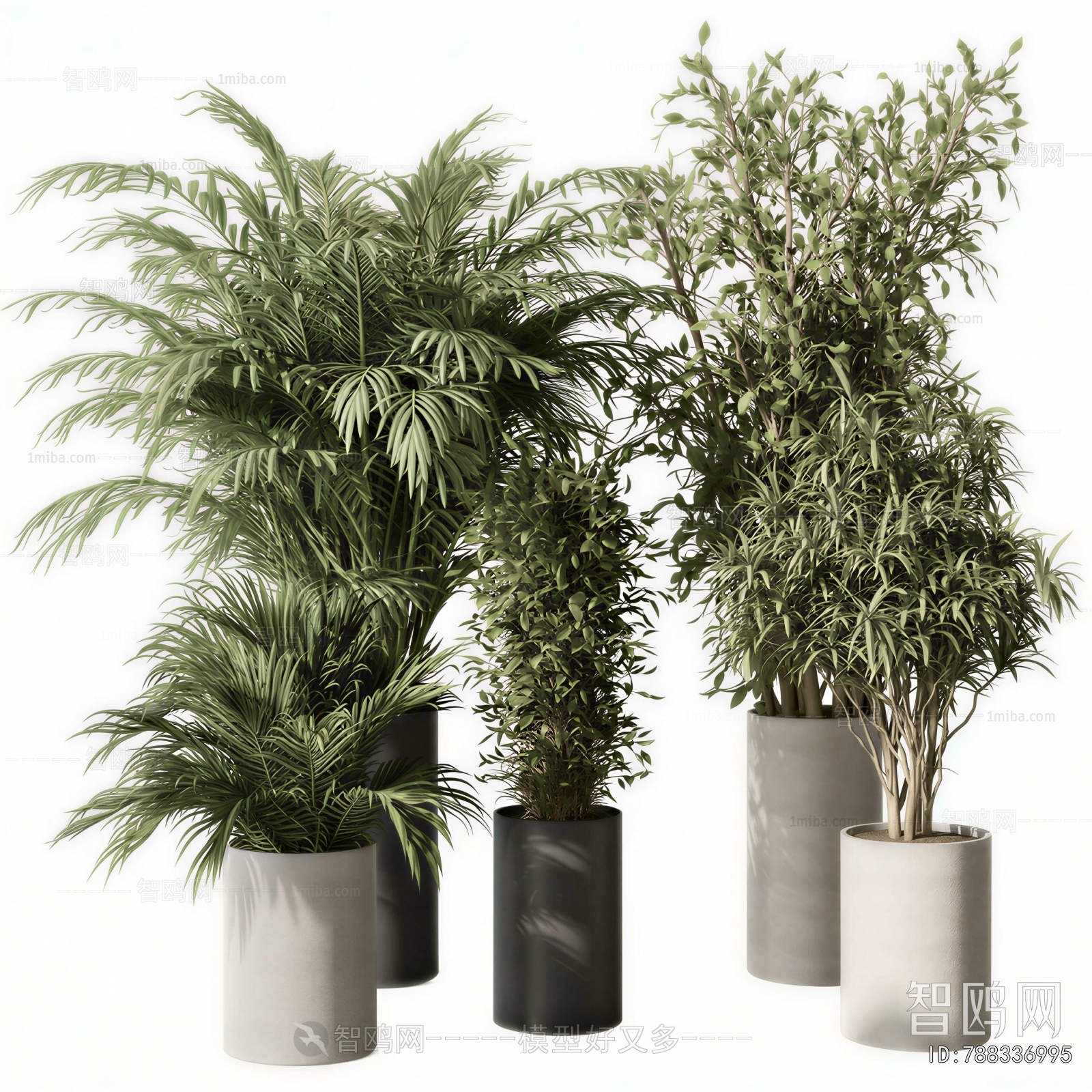 Modern Ground Green Plant Potted Plants