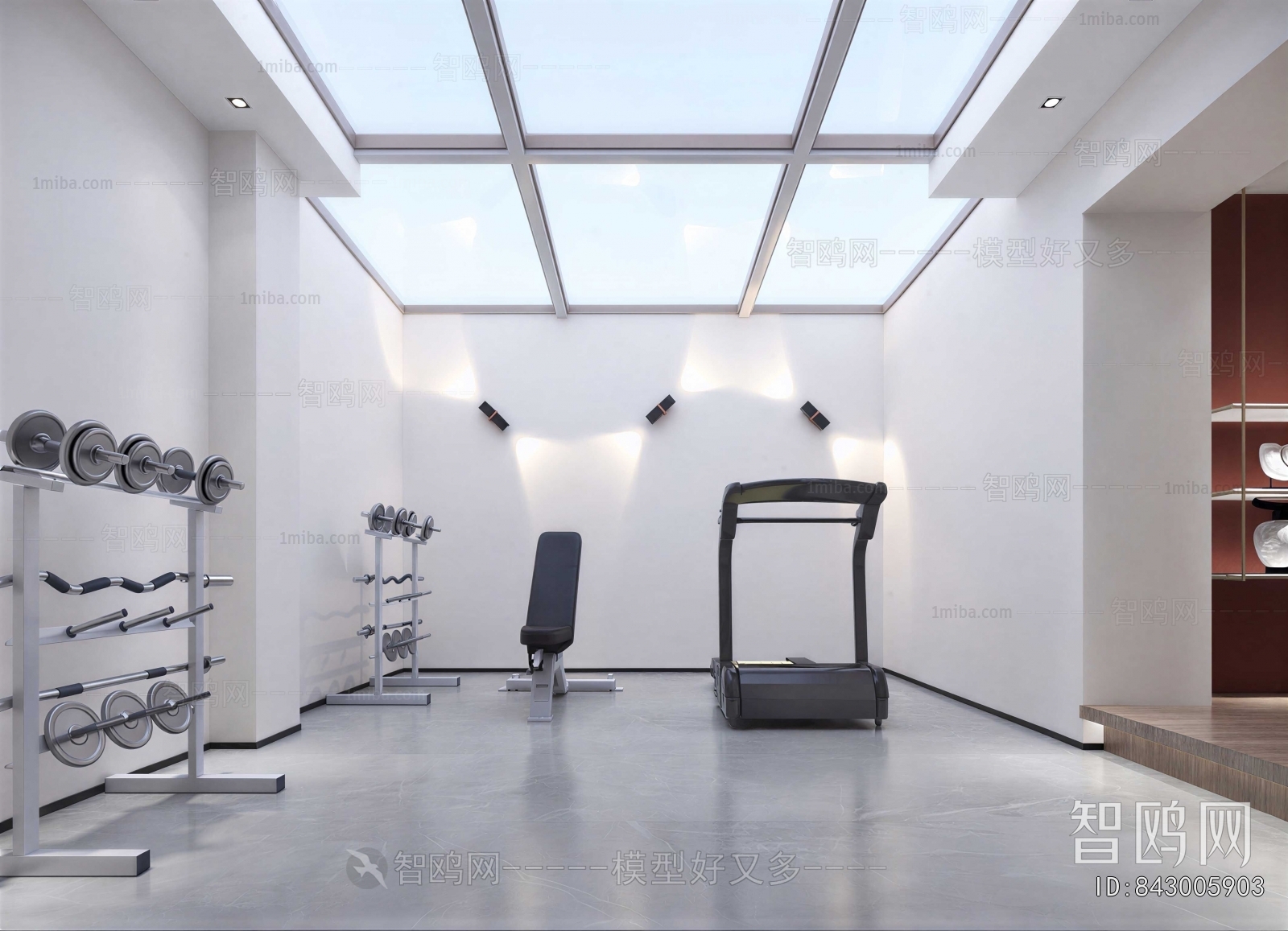 Modern Home Fitness Room
