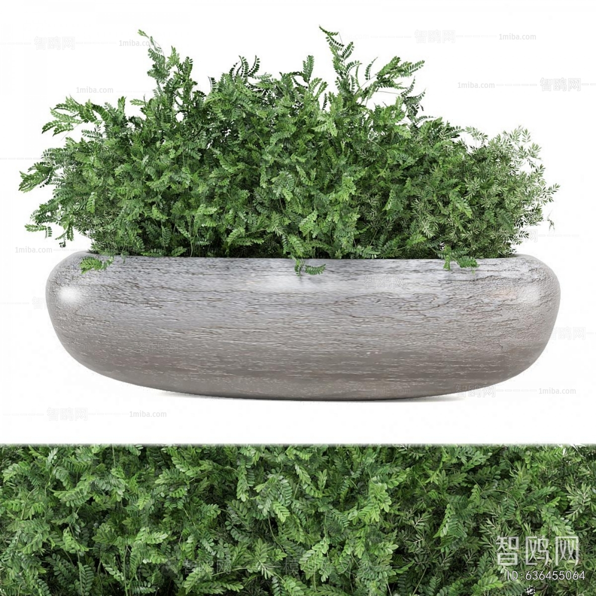 Modern Flower Bed, Flower Bowl, Flower Box