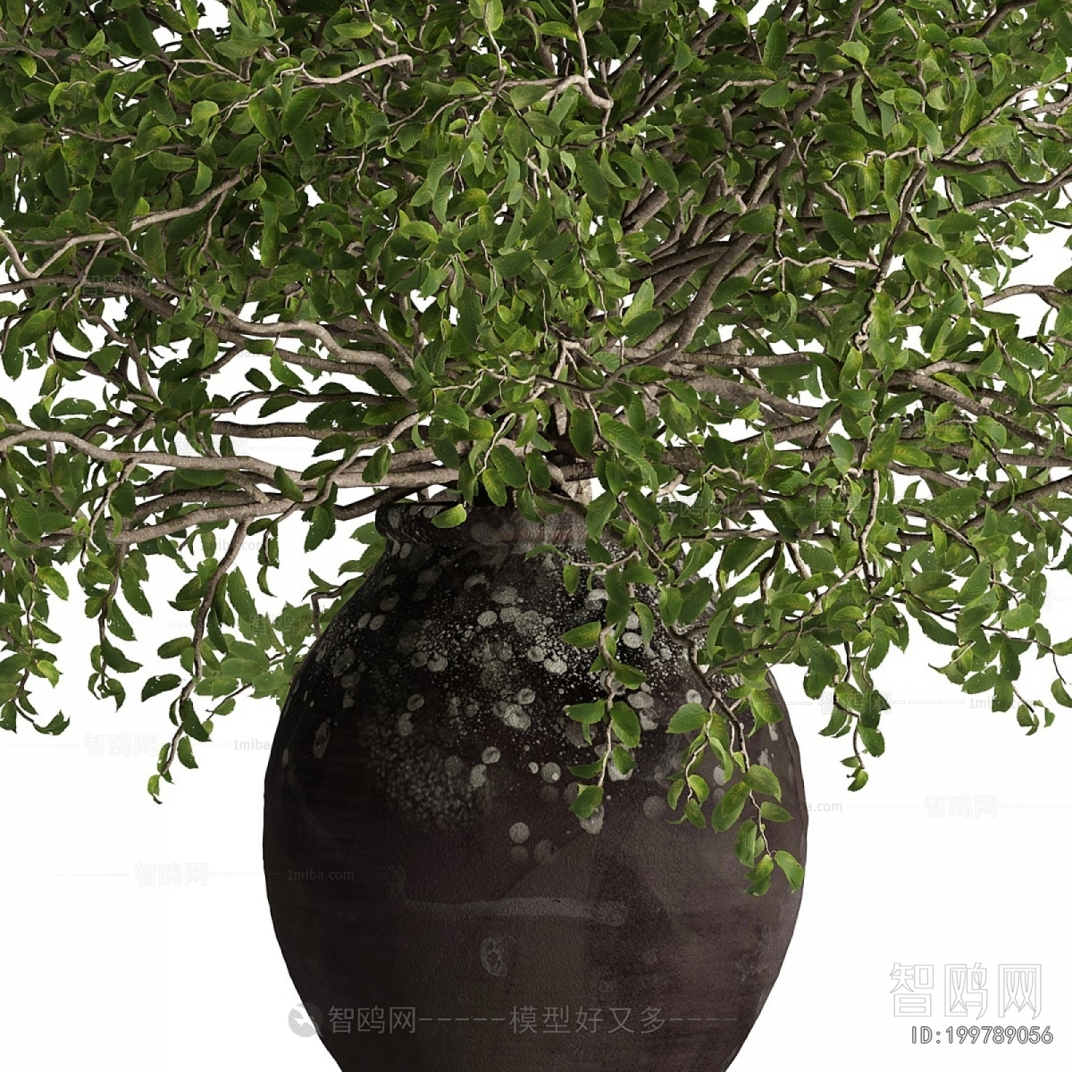 Modern Potted Green Plant