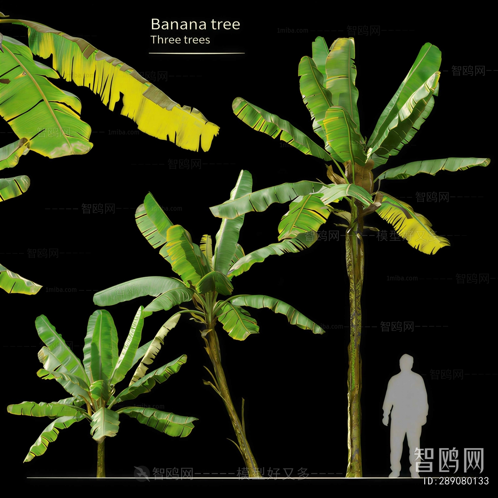 Modern Tree