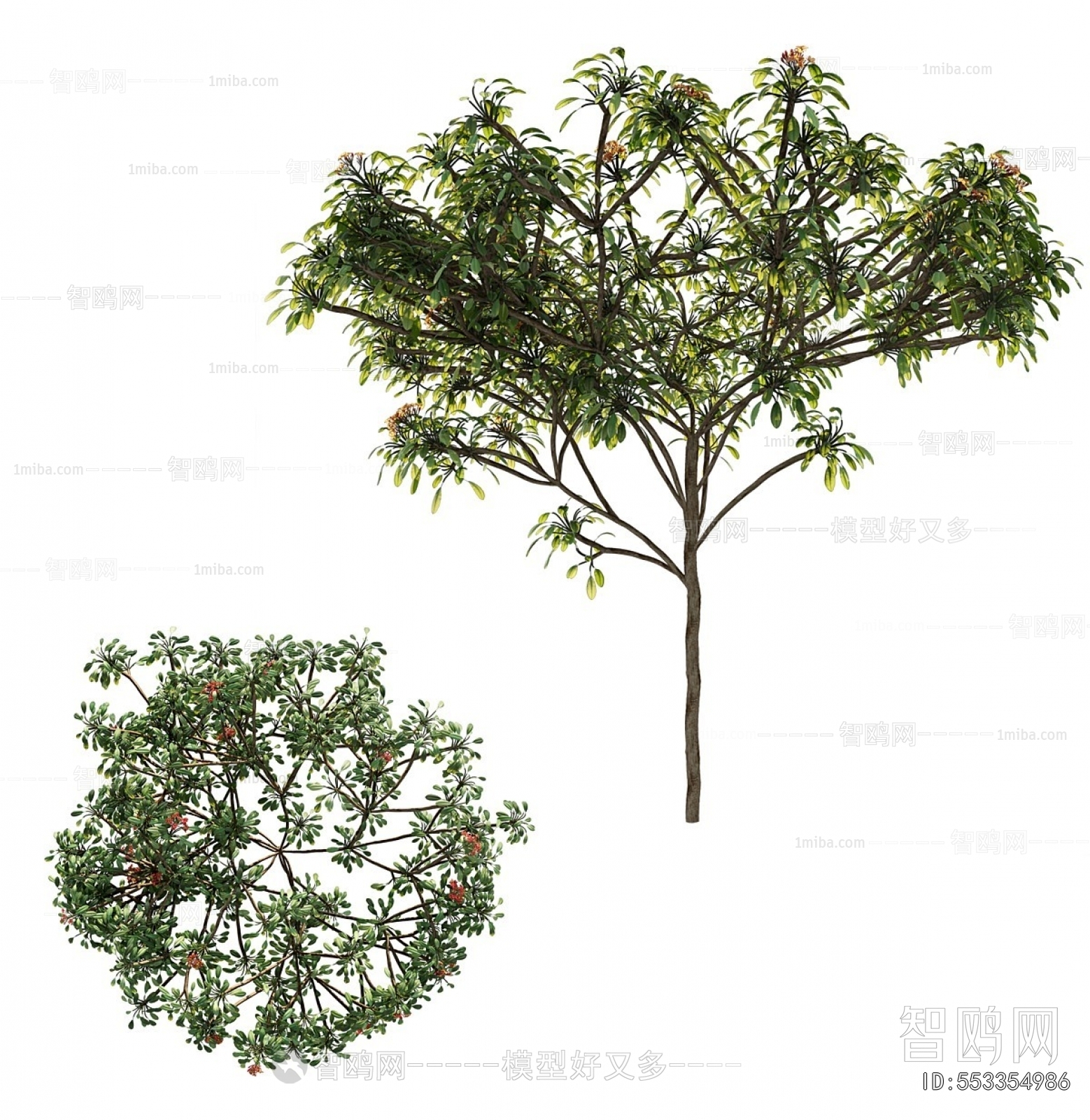 Modern Tree