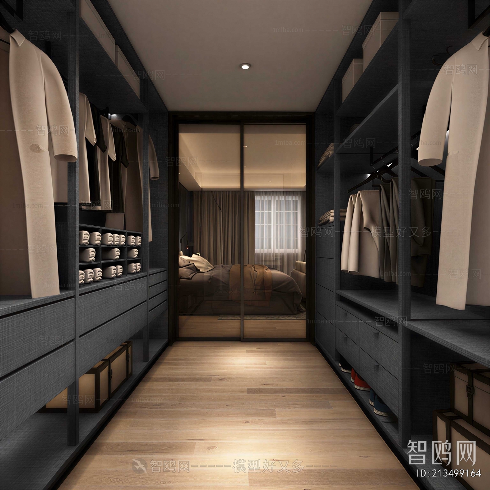 Modern Clothes Storage Area