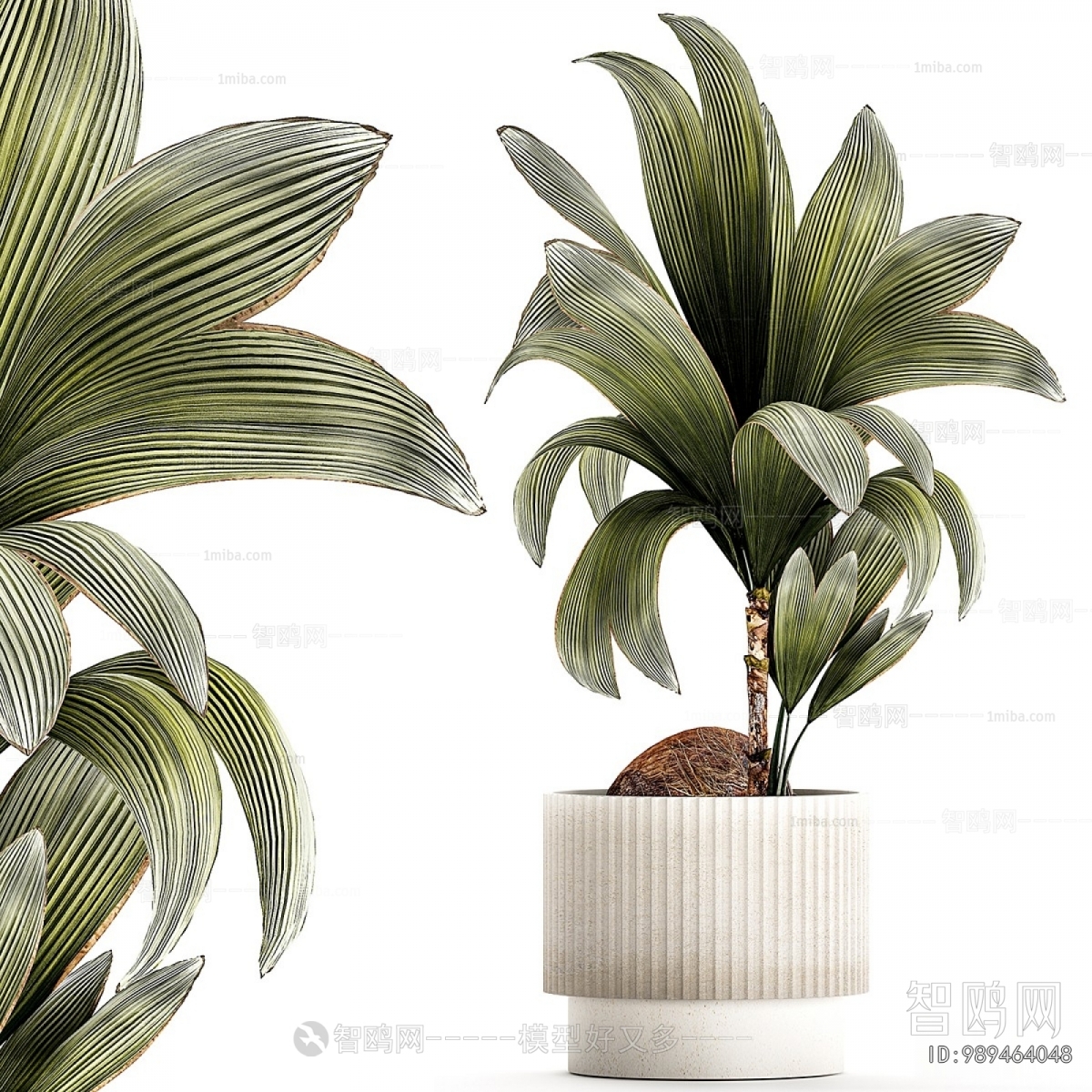 Modern Ground Green Plant Potted Plants