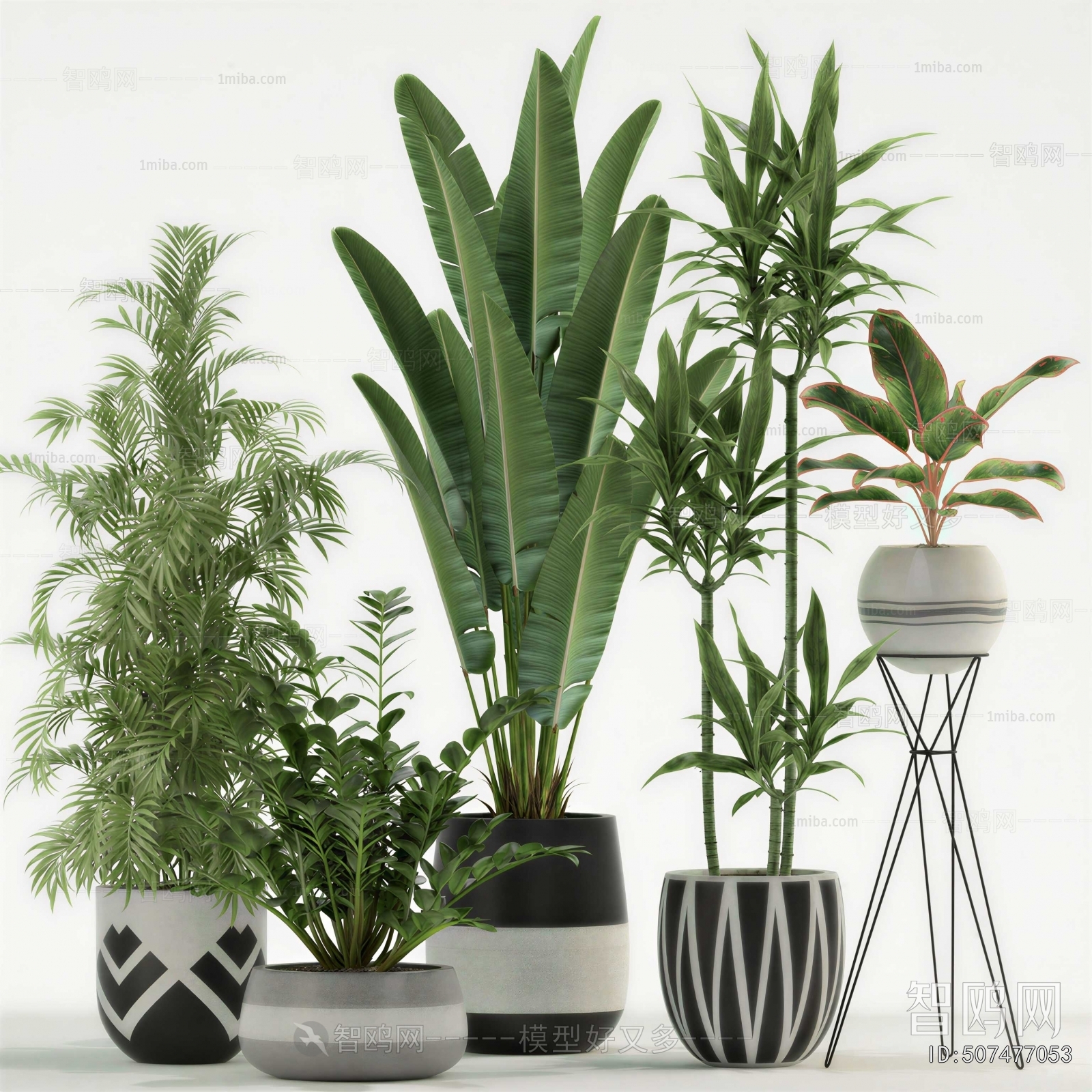 Modern Ground Green Plant Potted Plants
