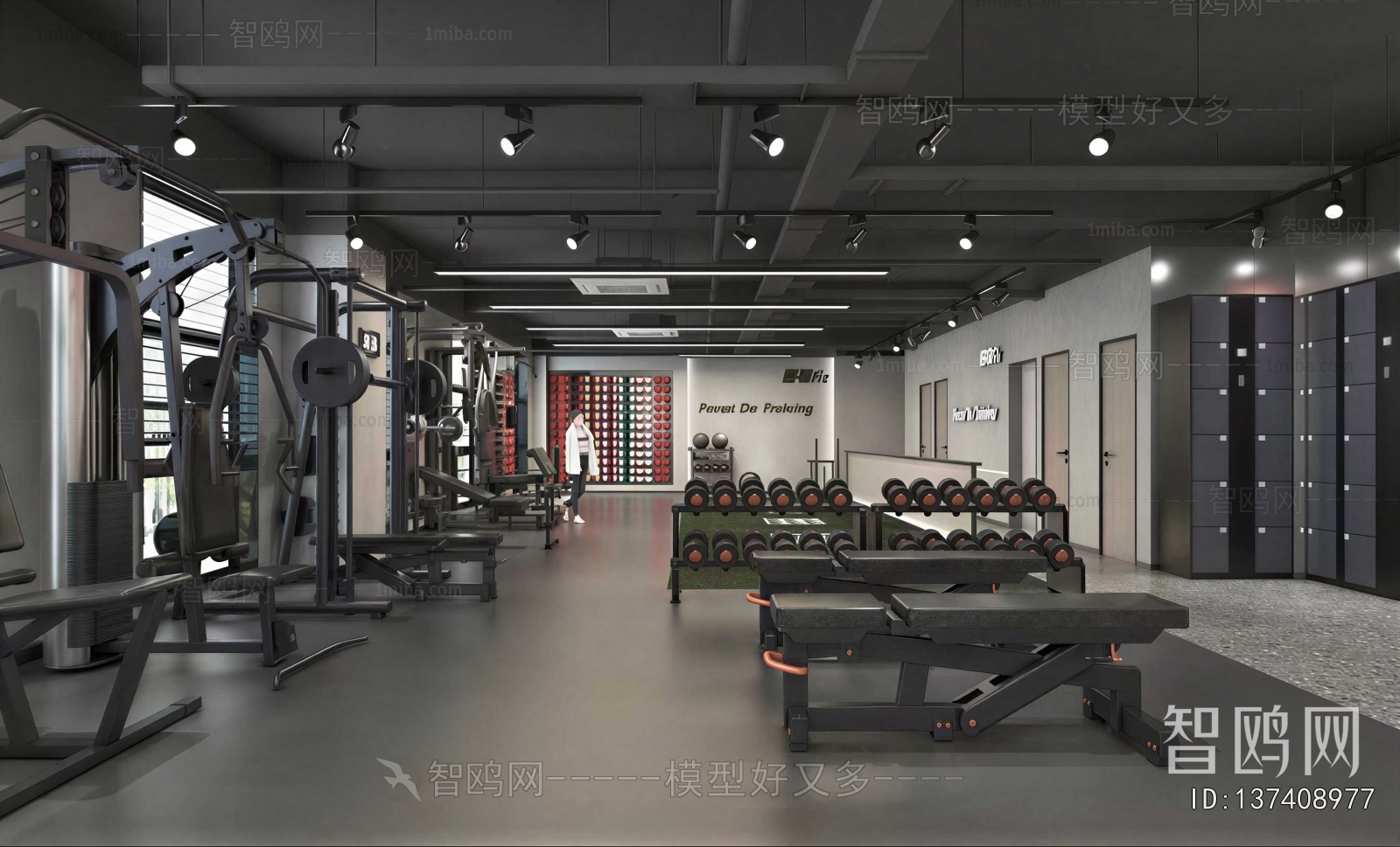Modern Gym