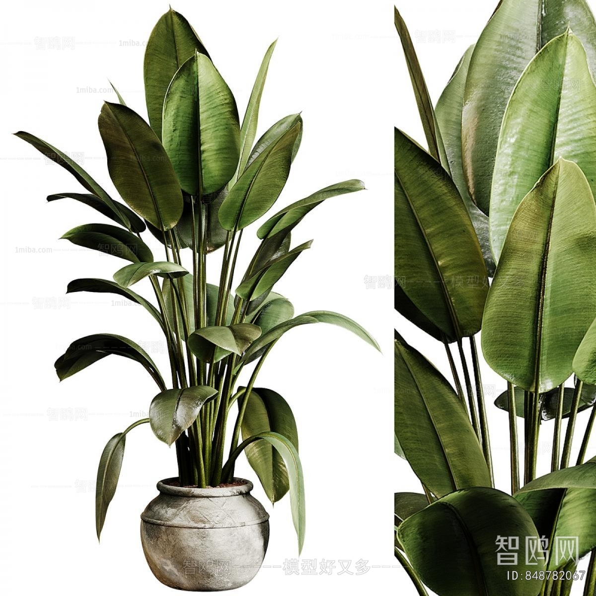 Modern Ground Green Plant Potted Plants