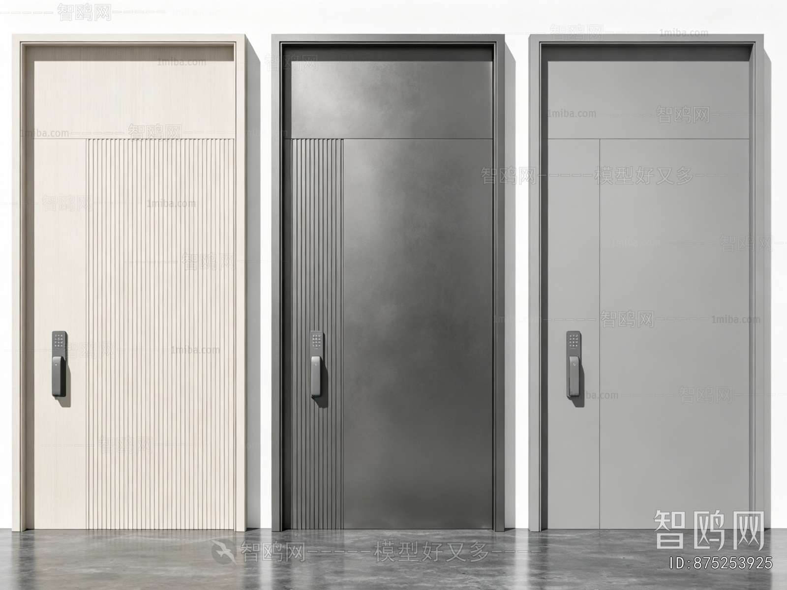 Modern Entrance Door