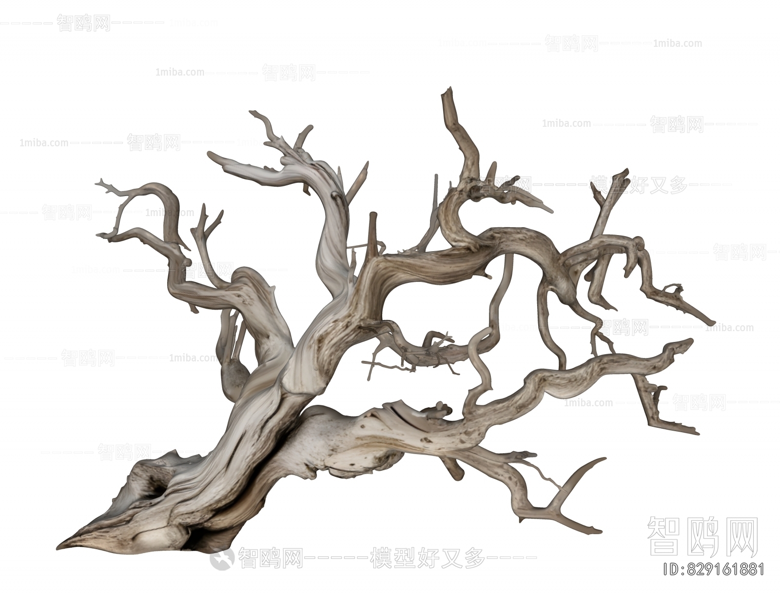 Wabi-sabi Style Root Carving