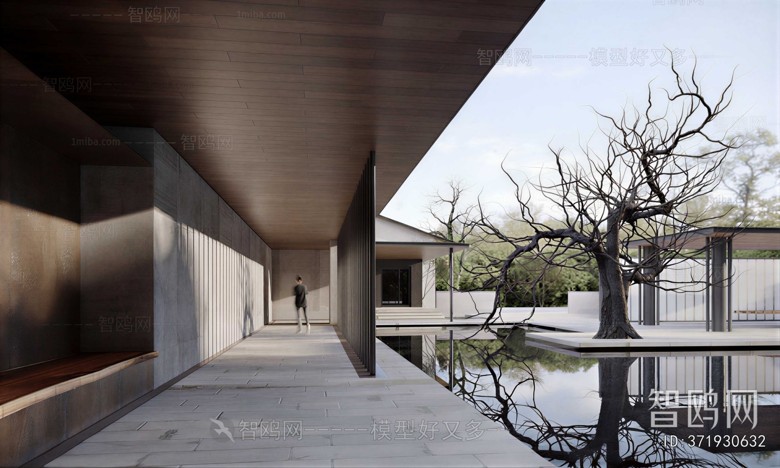 Modern Courtyard/landscape