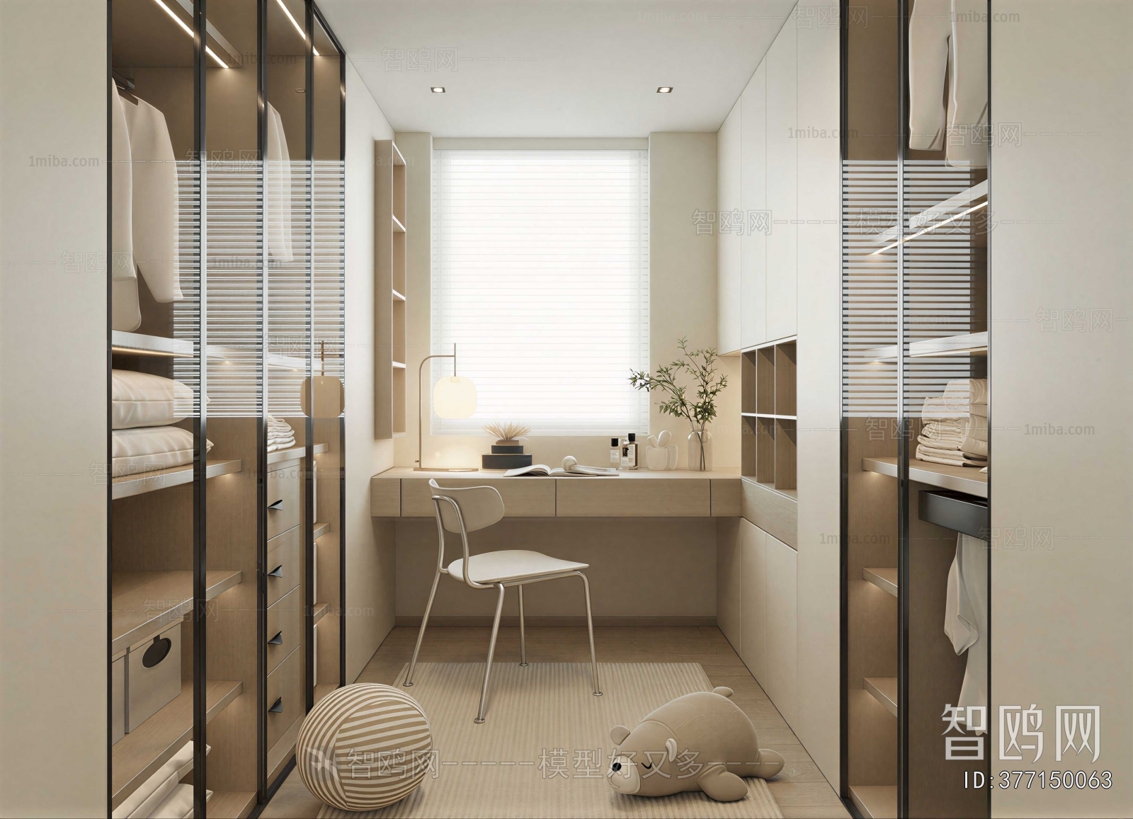 Modern Clothes Storage Area