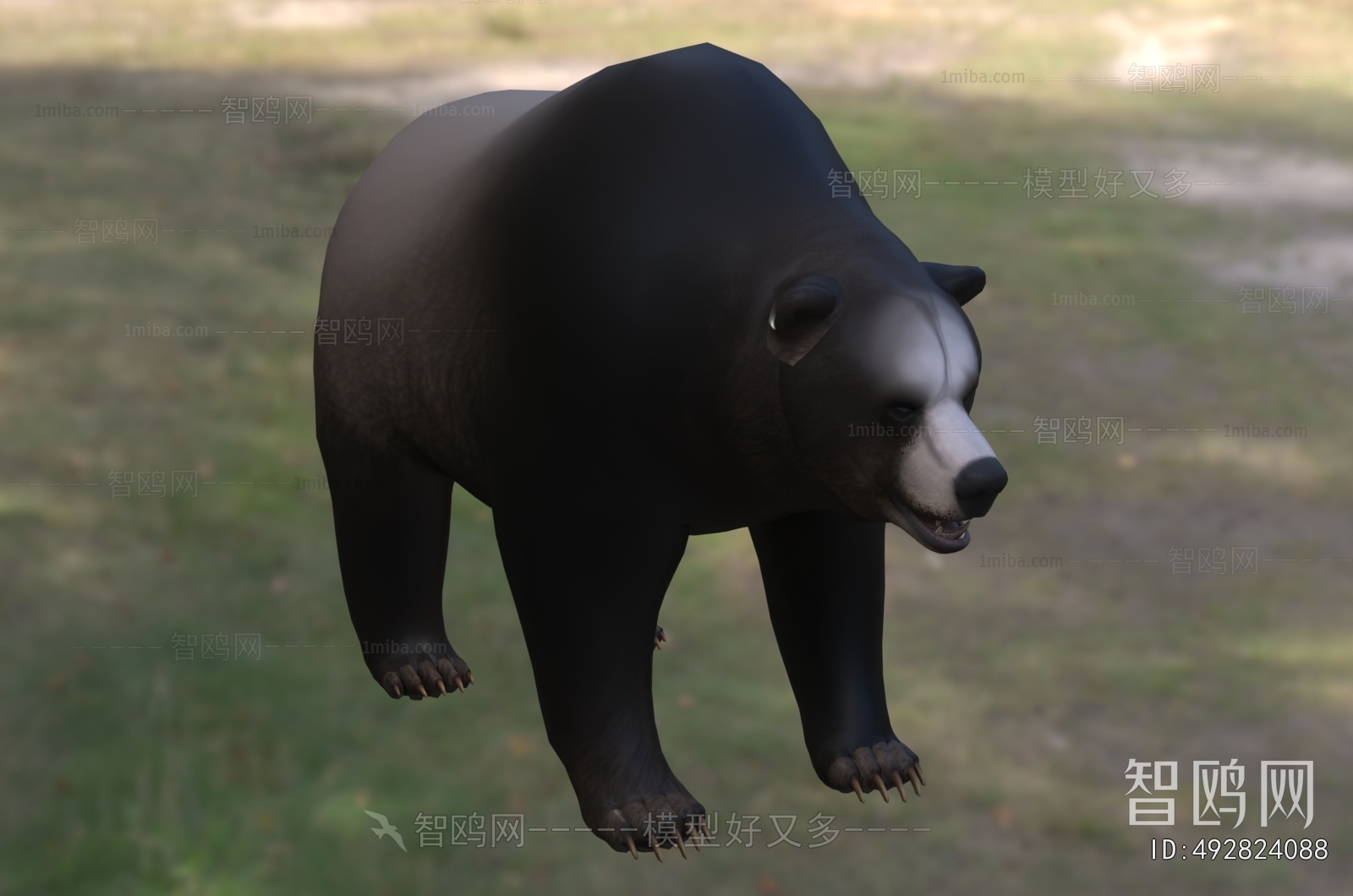 Modern Mammal